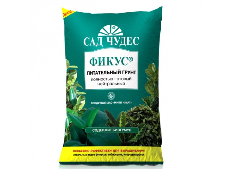 Замиокулькас замиелистный пересадить