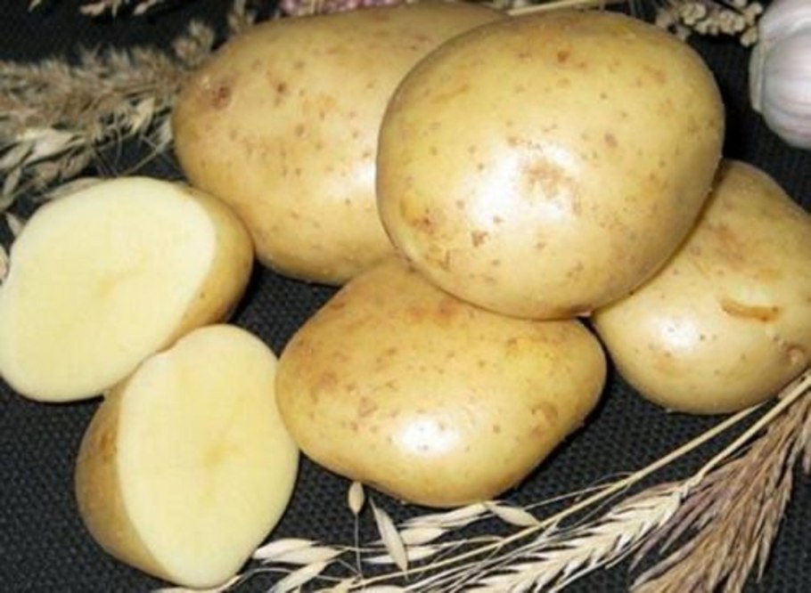 Картофель Люкс 1 репр