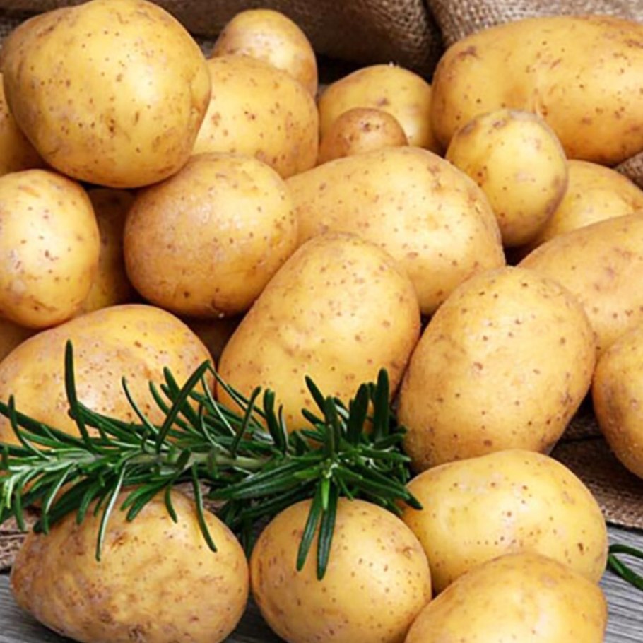 Картофель Гала