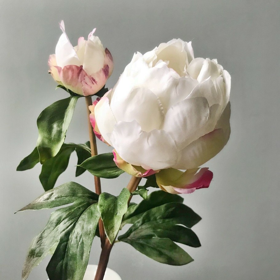 Пион Гардения букет