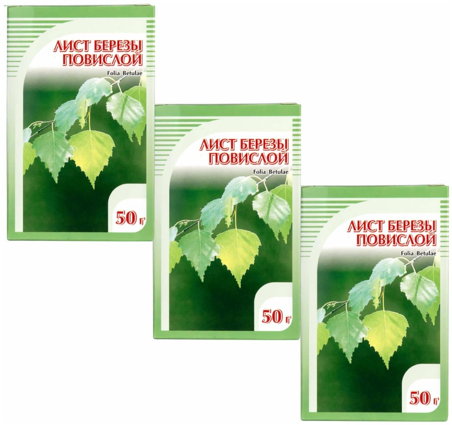 Betula pubescens листья