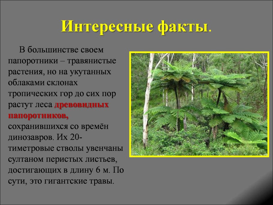 Триасовый период мезозойской эры