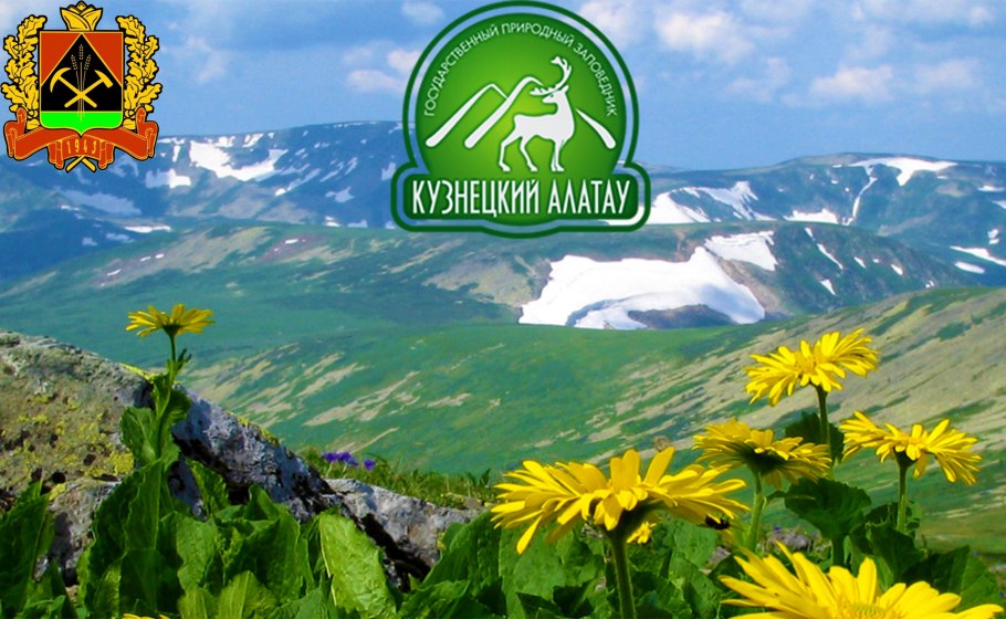 Каменный уголь окаменелости