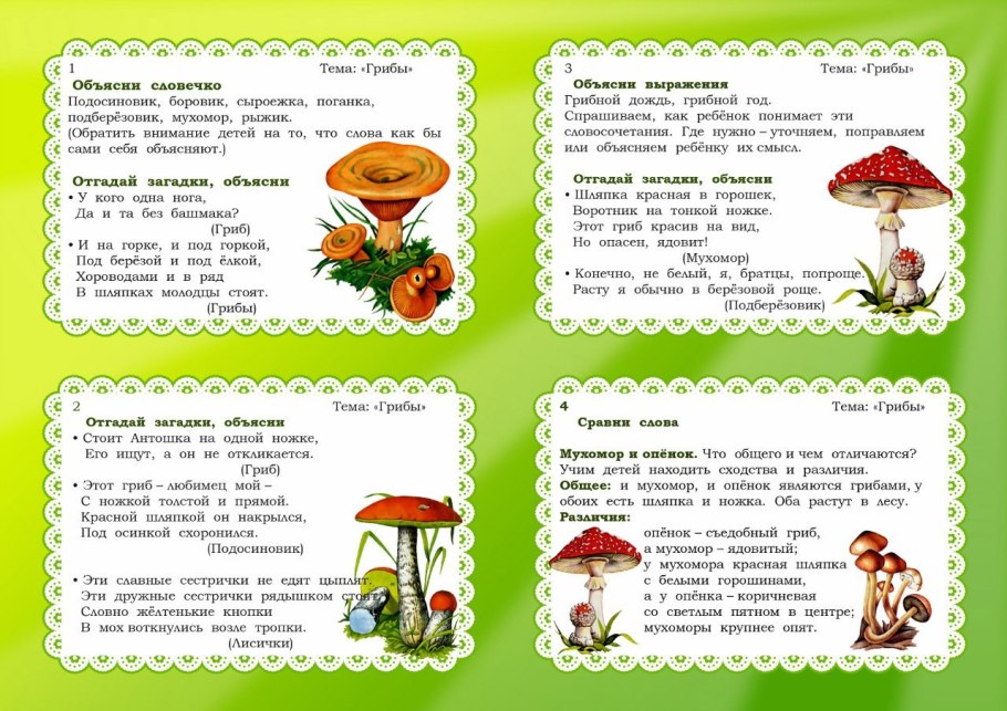 Жимолость Волчья ягода