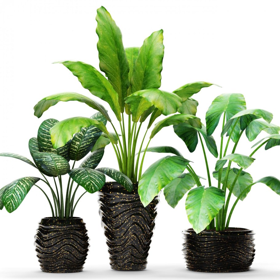 Растения в горшке 3д