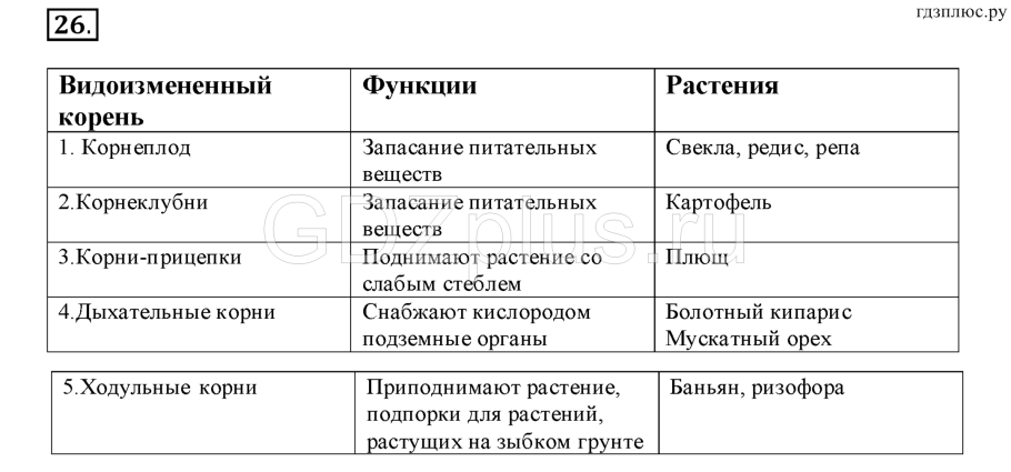 Шпоры по биологии 7 класс