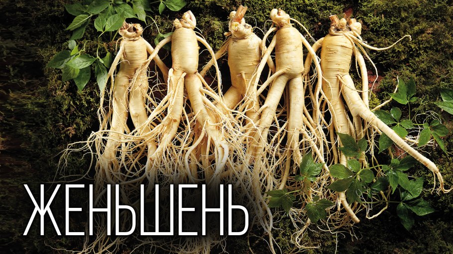 Растения с втягивающими корнями