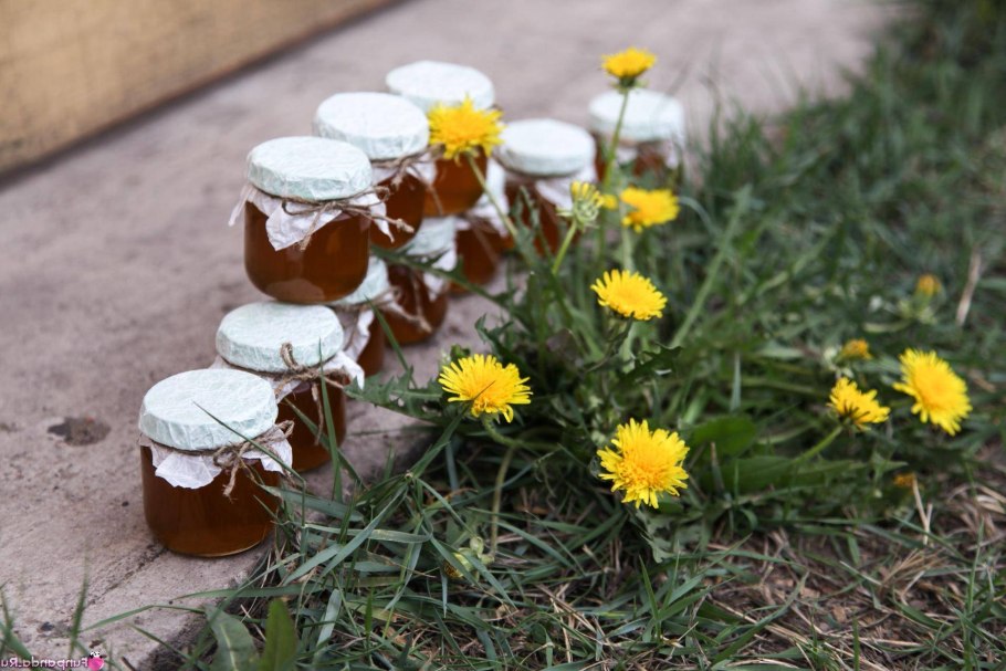 Dfhtymt BP jledfyxbrf