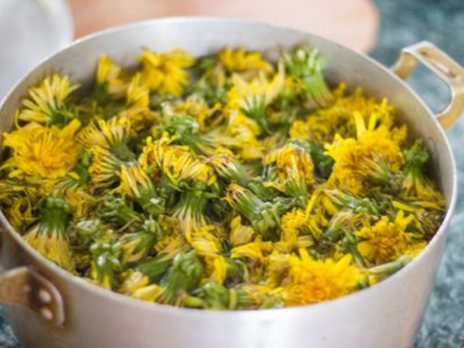 Варенье из адуваньчика