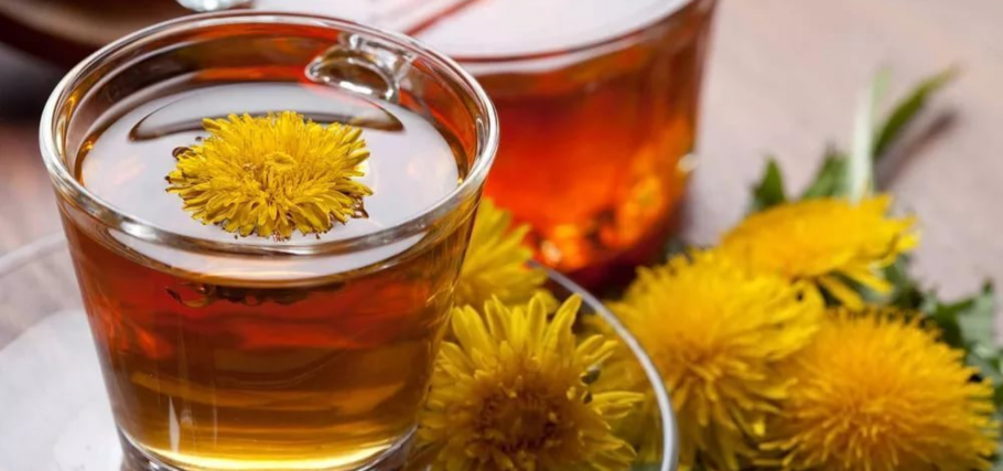 Одуванчик лекарственный настой