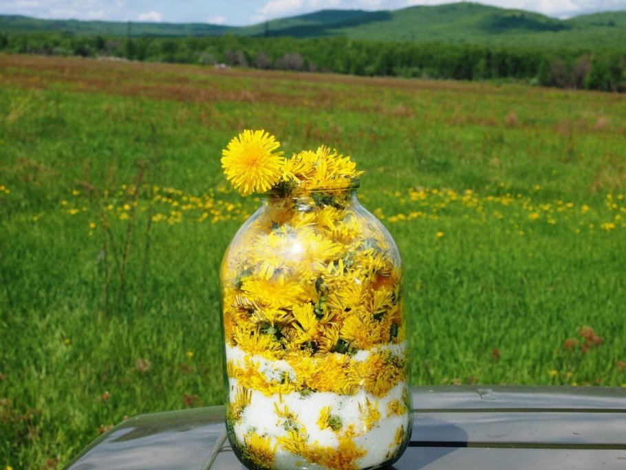 Варенье homemade из цветков одуванчика, банка 220 г