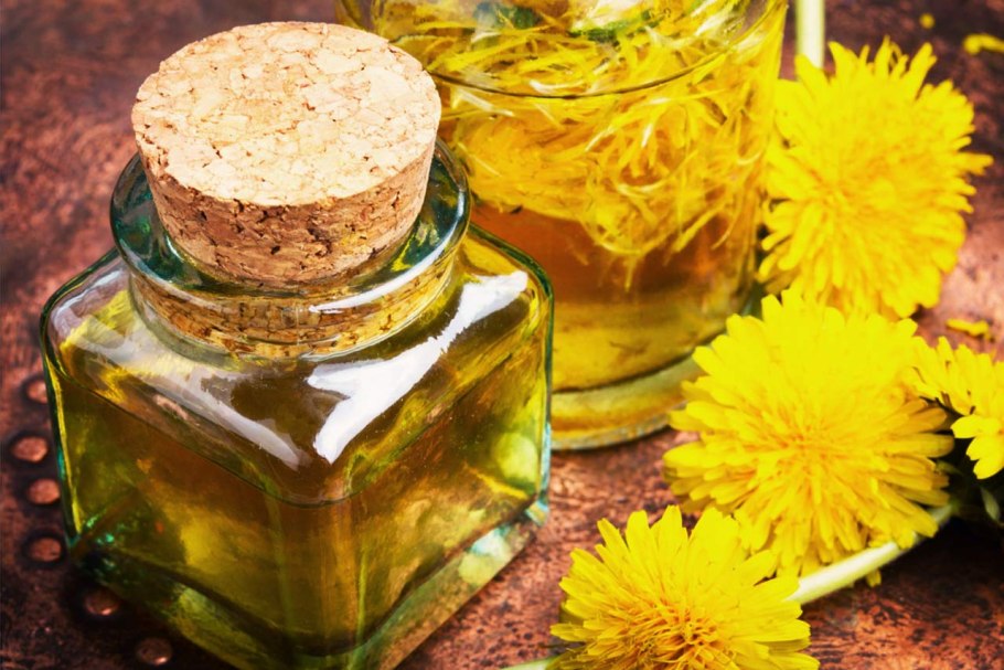 Одуванчик в кулинарии