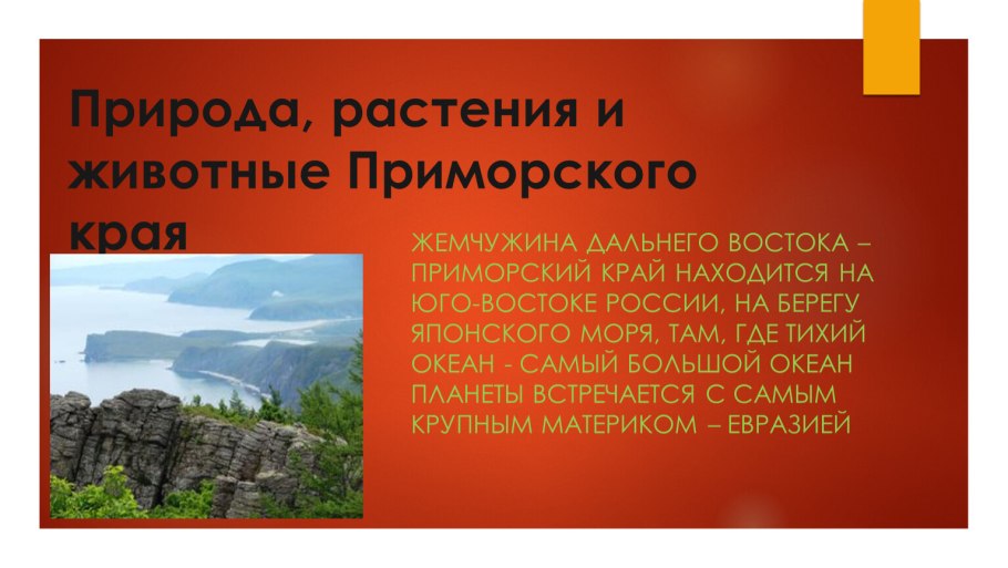Приморье дальнего Востока презентация