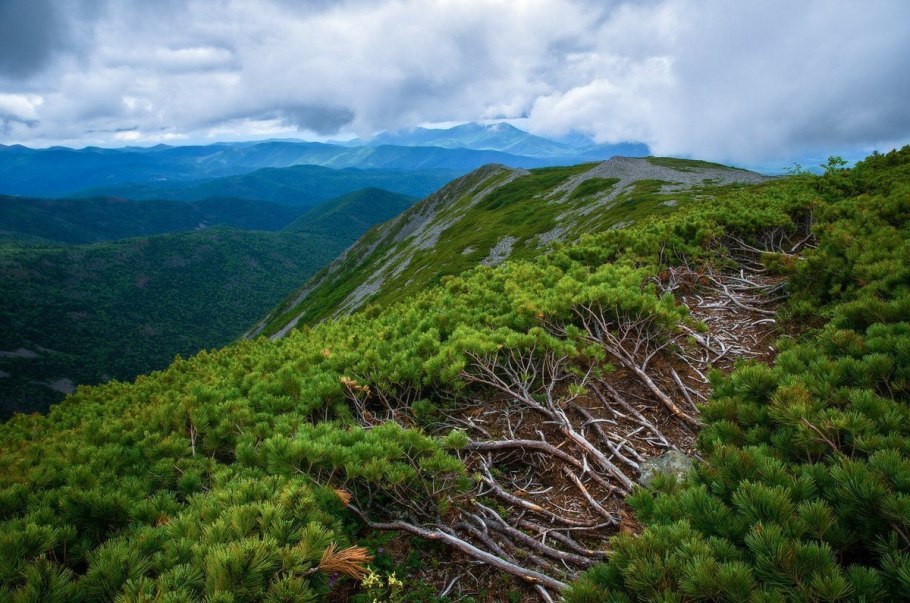 Хребет Джугджур