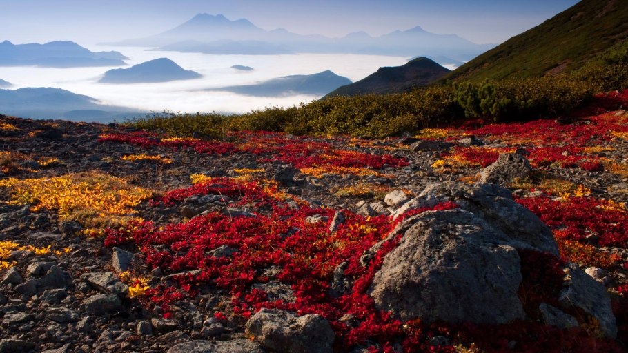 Кольский полуостров и Таймыр