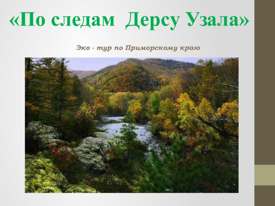 Природа Сихотэ-Алинского заповедника