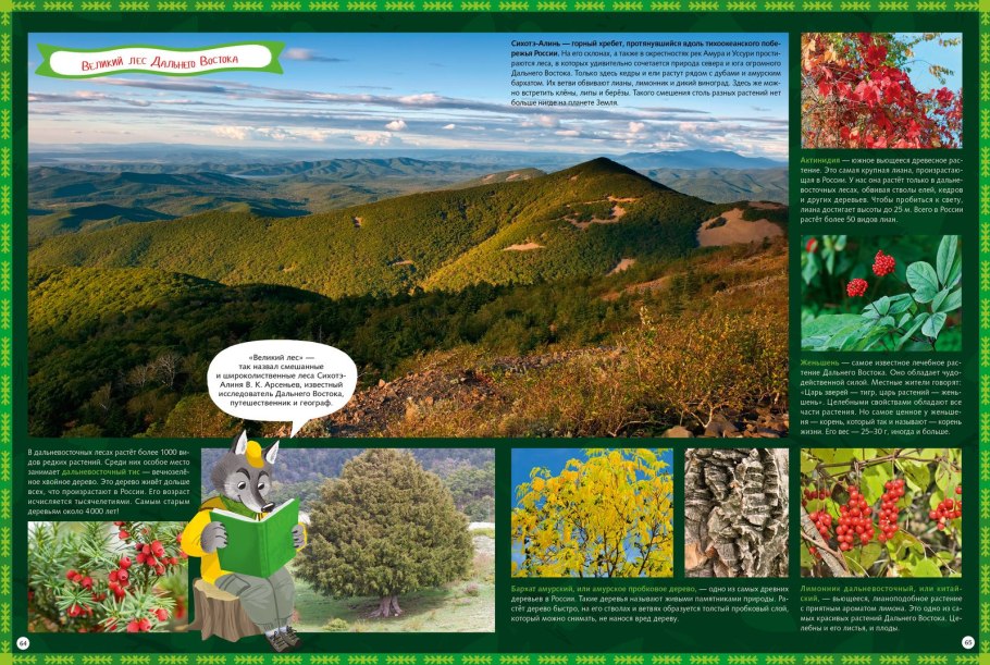 Природа севера книга