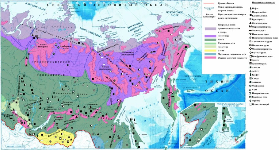 Природные зоны растения и животные России карта