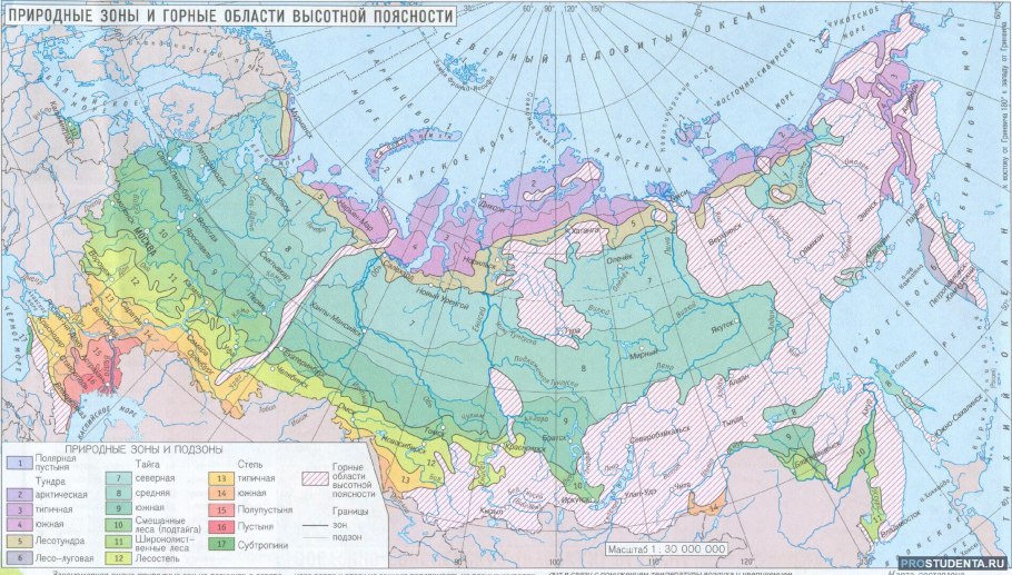 Карта природных зон России 4