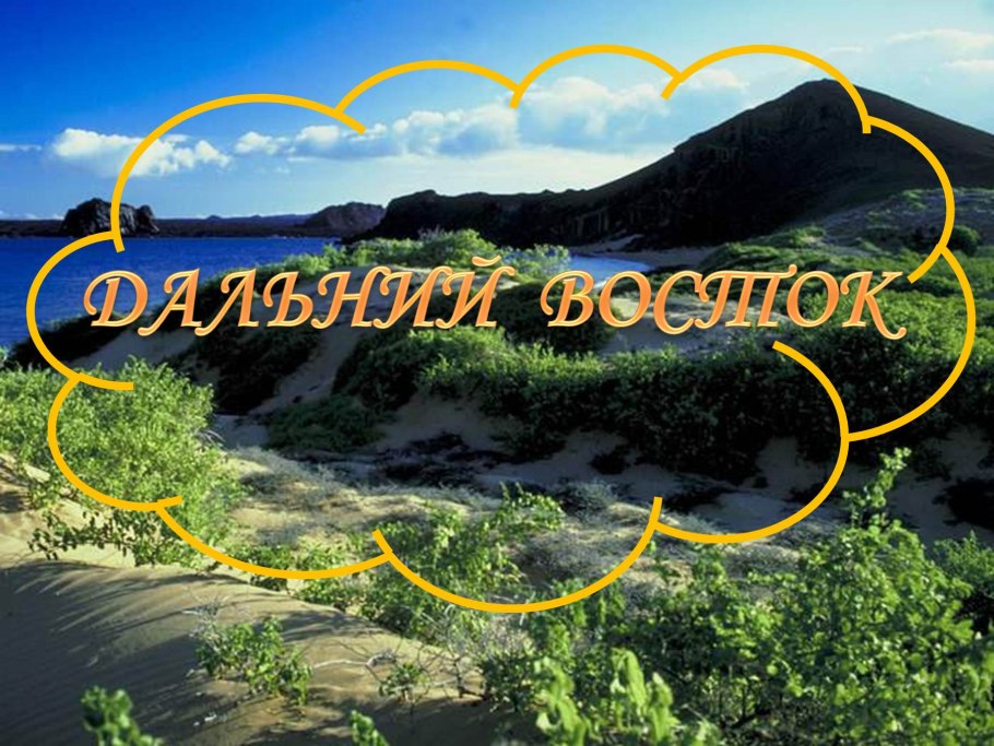 Багульник на Дальнем востоке