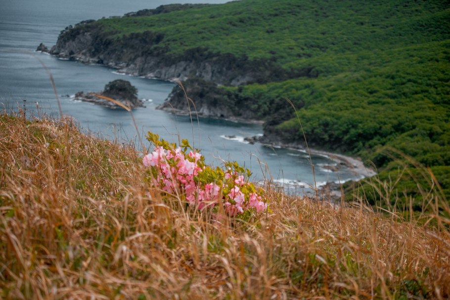 Горная Шория