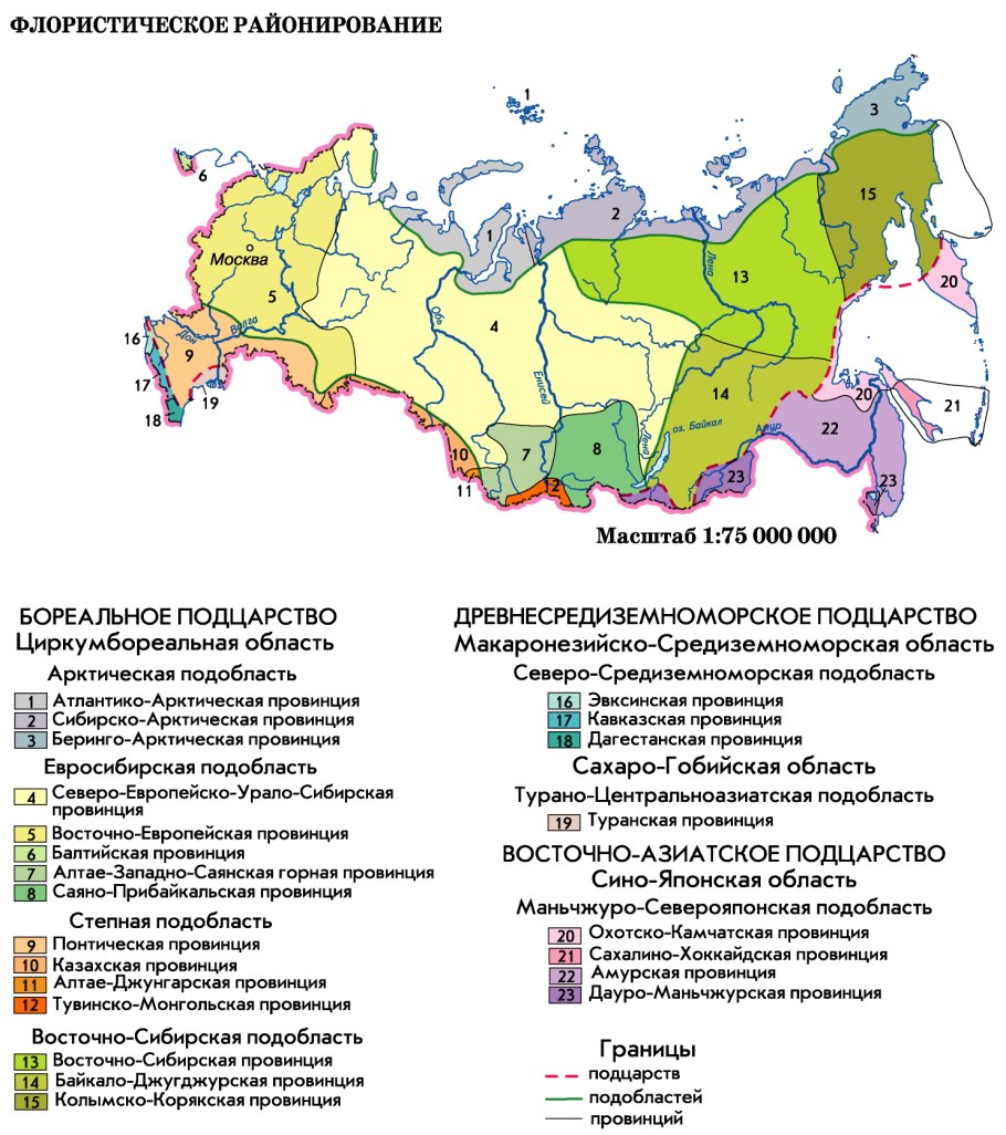 Географическая карта России с природными зонами