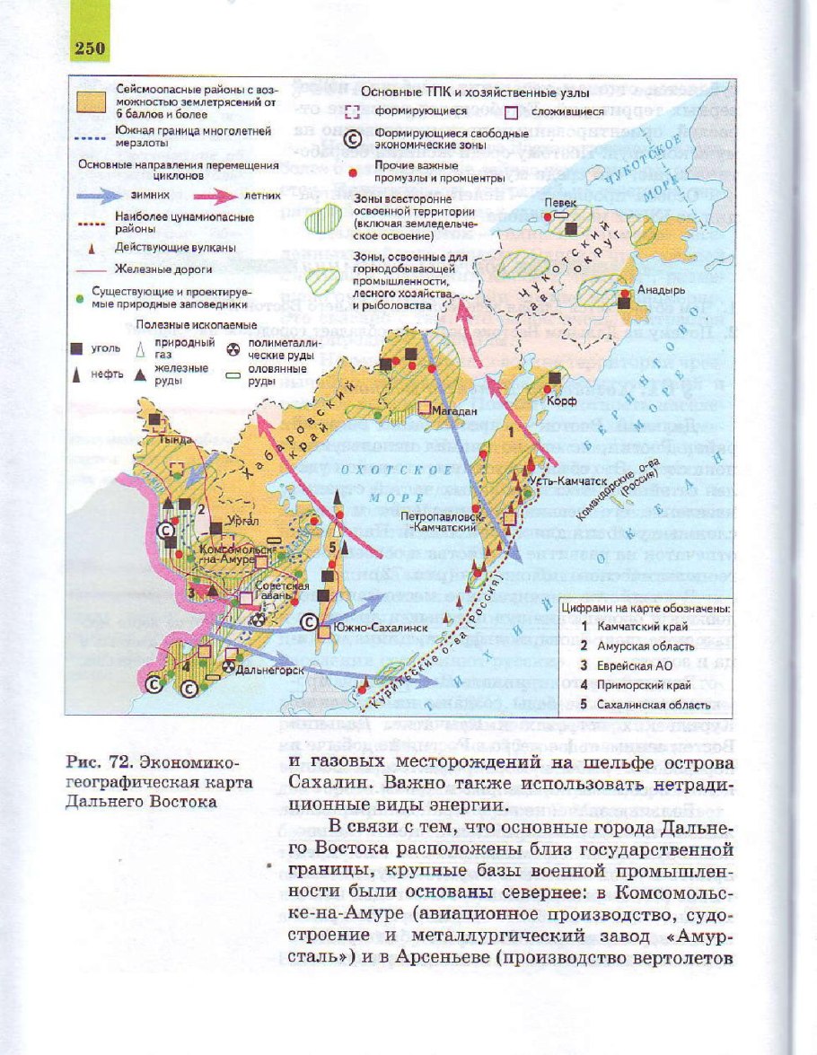 Плато Путорана Флора