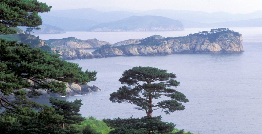 Уссурийская Тайга