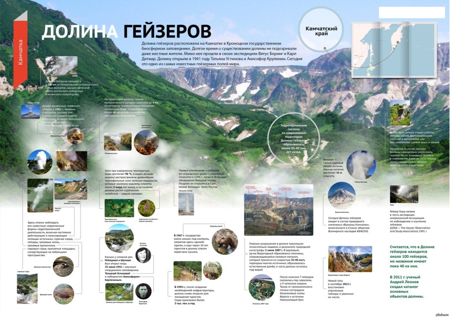 Тайга Камчатки