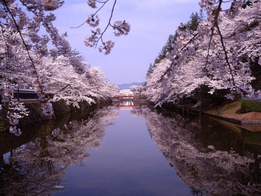 Art Biotop Water Garden. Япония архитектура