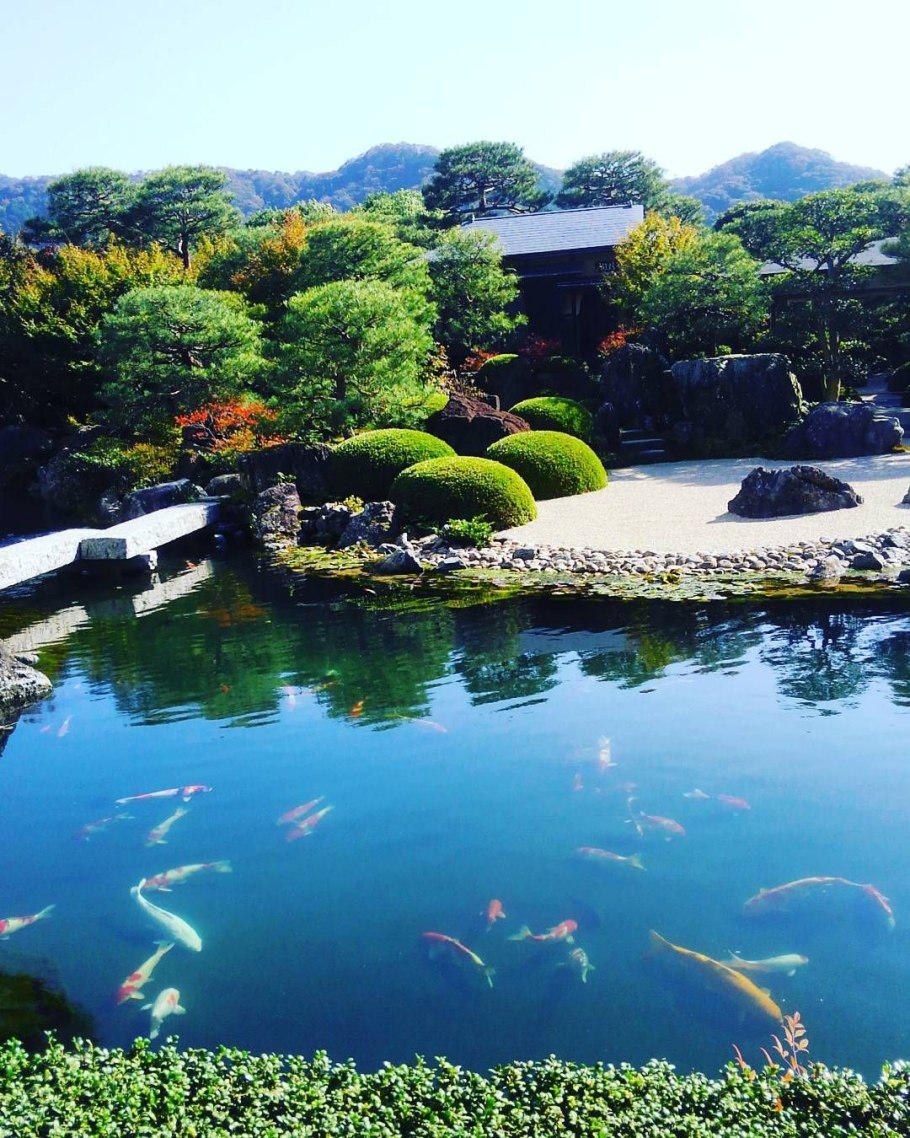 Пруд Моне в Японии