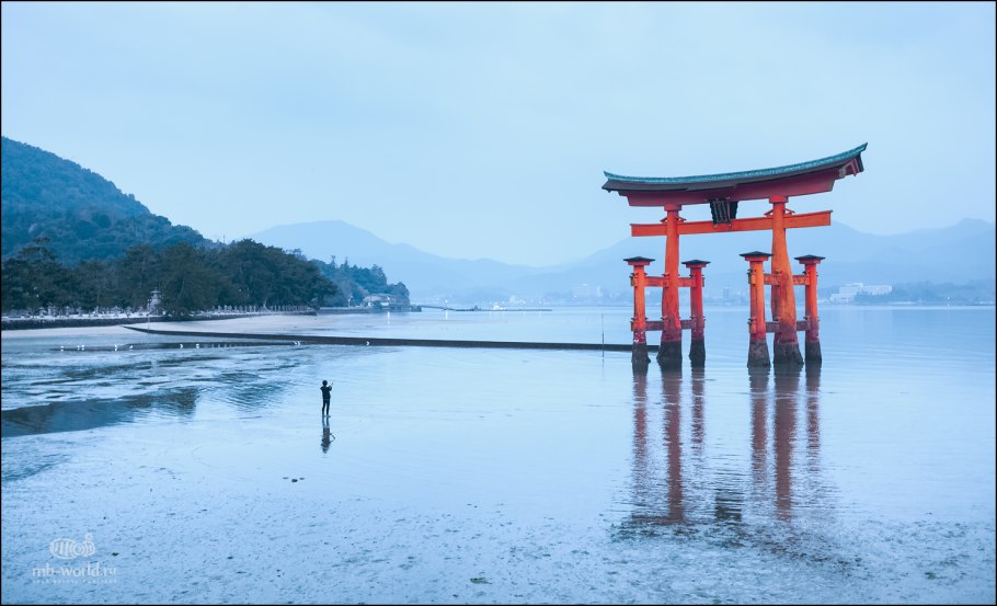 Прудик на даче в японском стиле