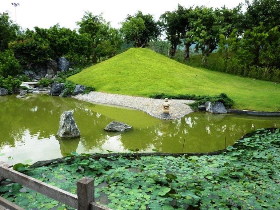 Япония остров Хоккайдо лес