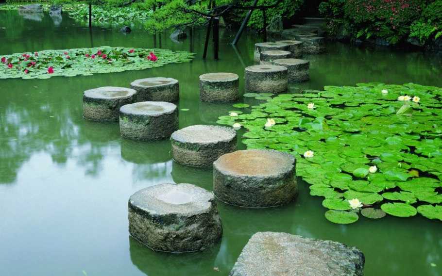 Лотосовый пруд Япония
