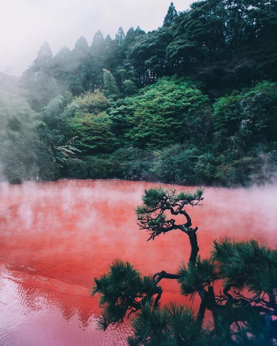 Река Синано Сакура