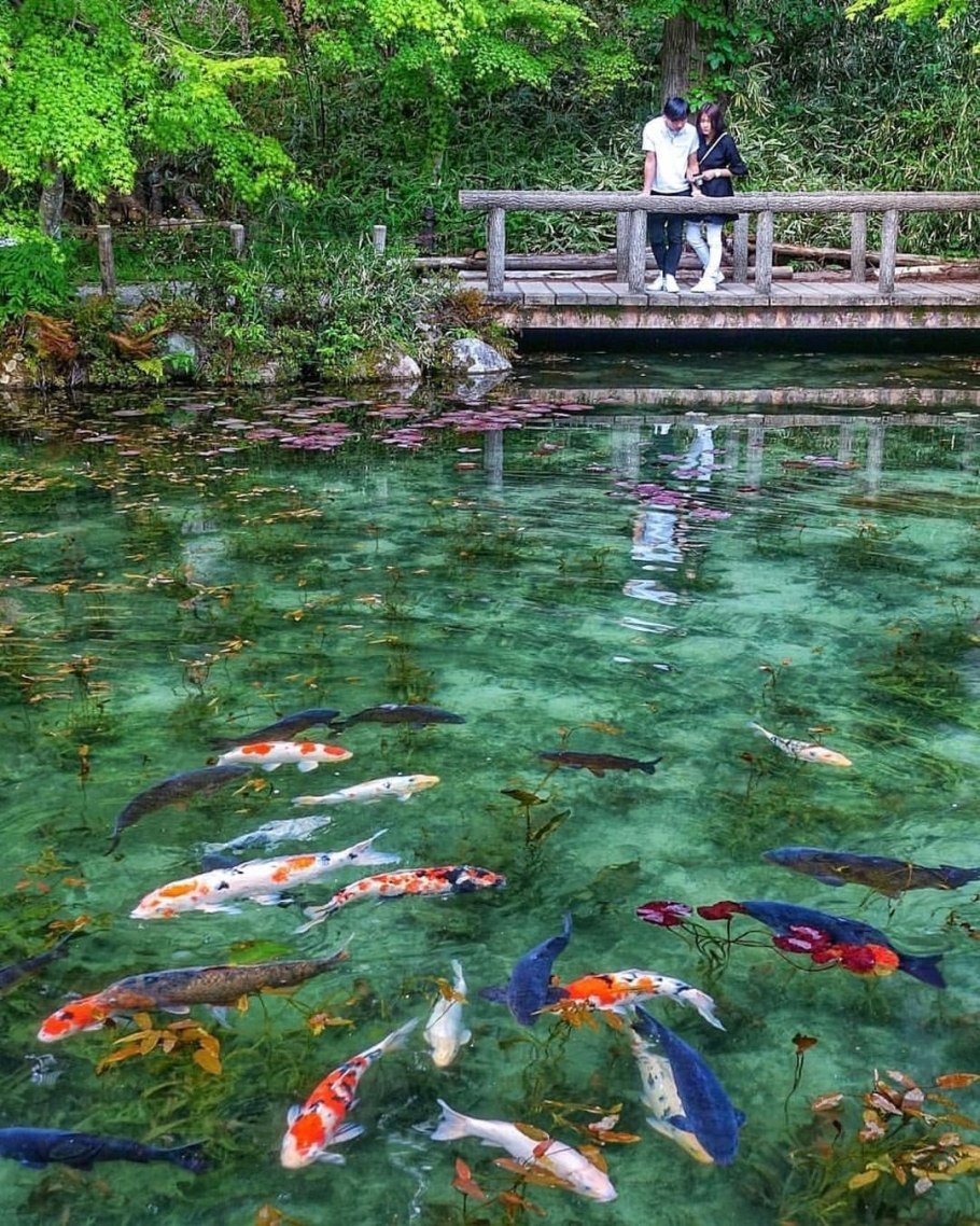 Тип «Цукияма» японский сад