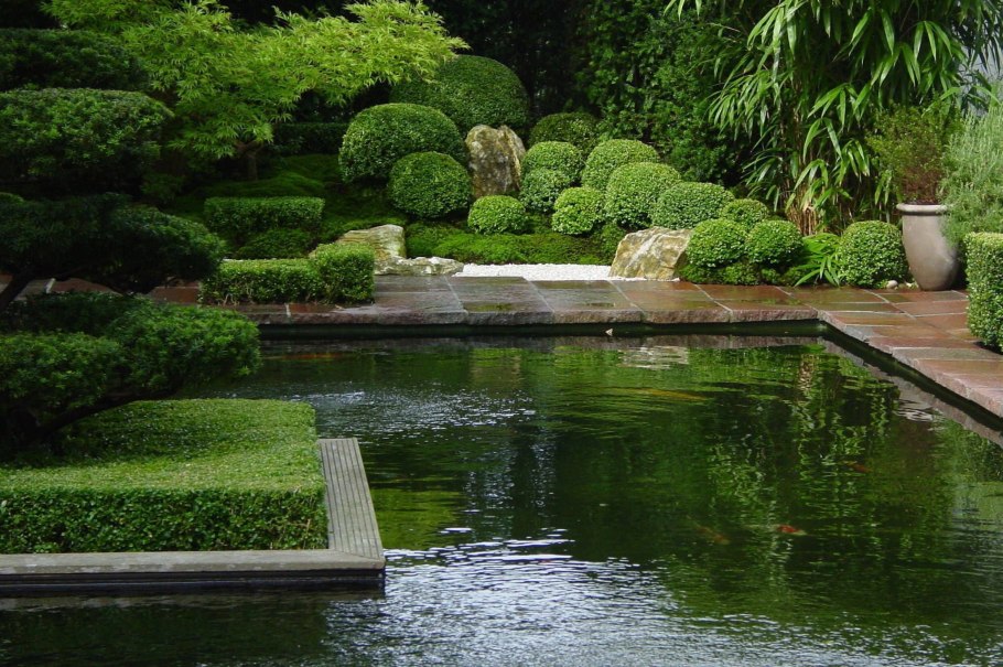 Японские дома внутри с прудом