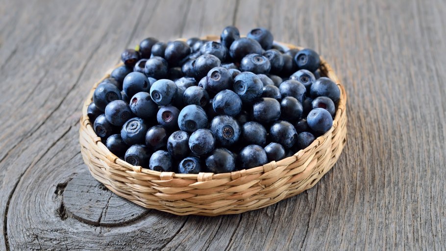 Черника и голубика