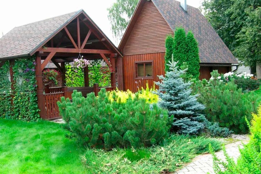 Пицея Глаука Глобоза