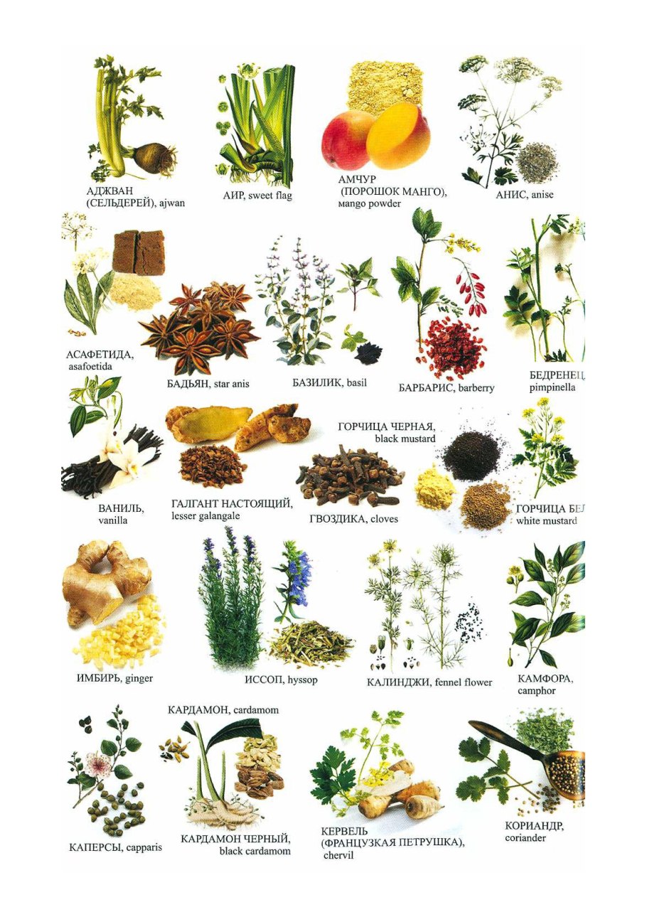 Десертные овощи ревень спаржа артишоки