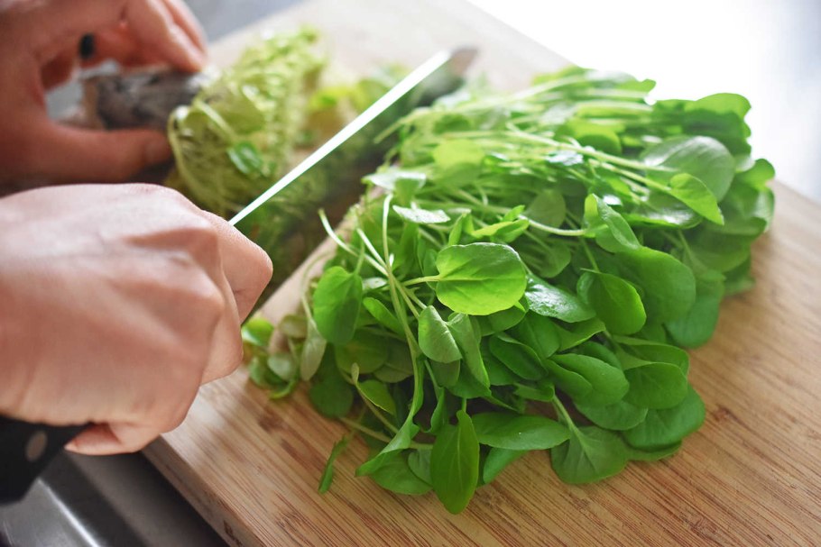 Травы и специи на английском