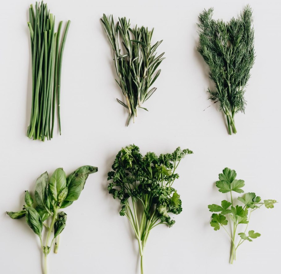 Зелень для салатов названия