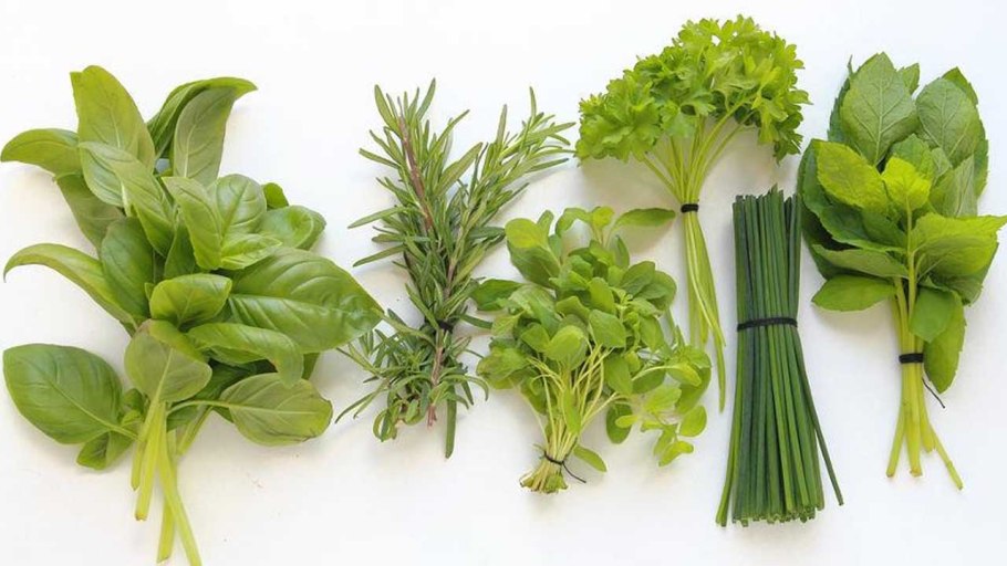 Калорийность травы