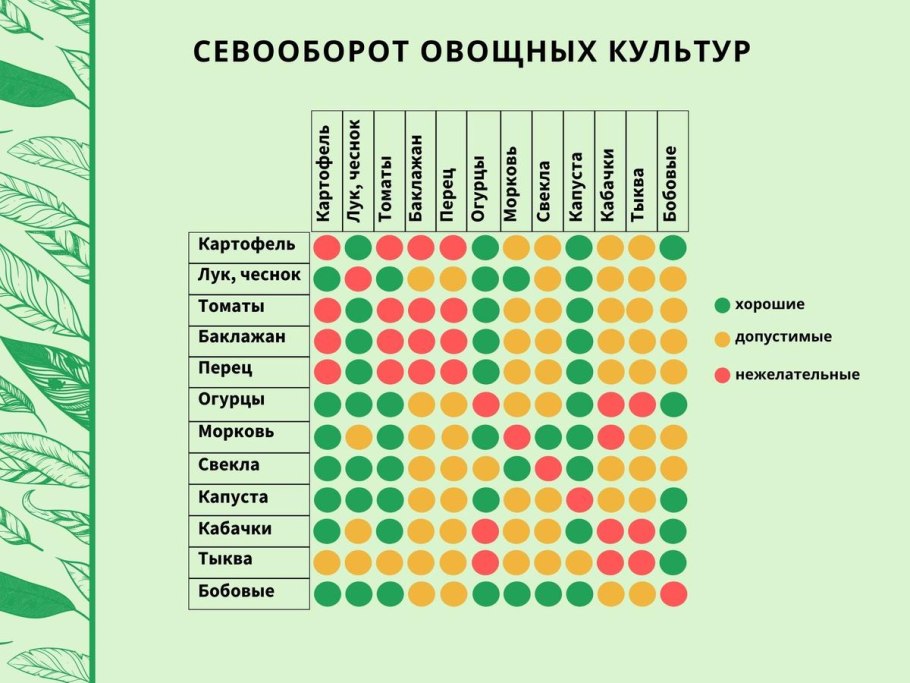 Пропашная система земледелия