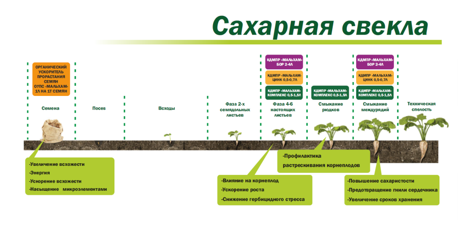 Схема посева люцерны