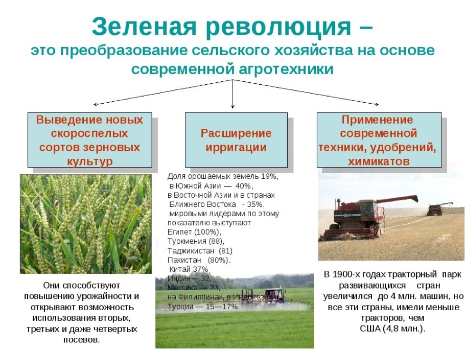 Засеянные поля Алтайского края