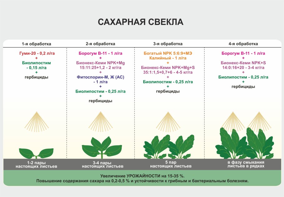 Схема внутрихозяйственного землеустройства