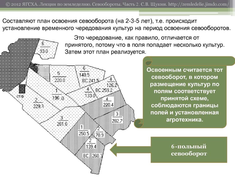 Таблица чередования посевов овощей в огороде