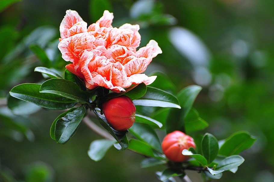 Новогодние шары со снегом