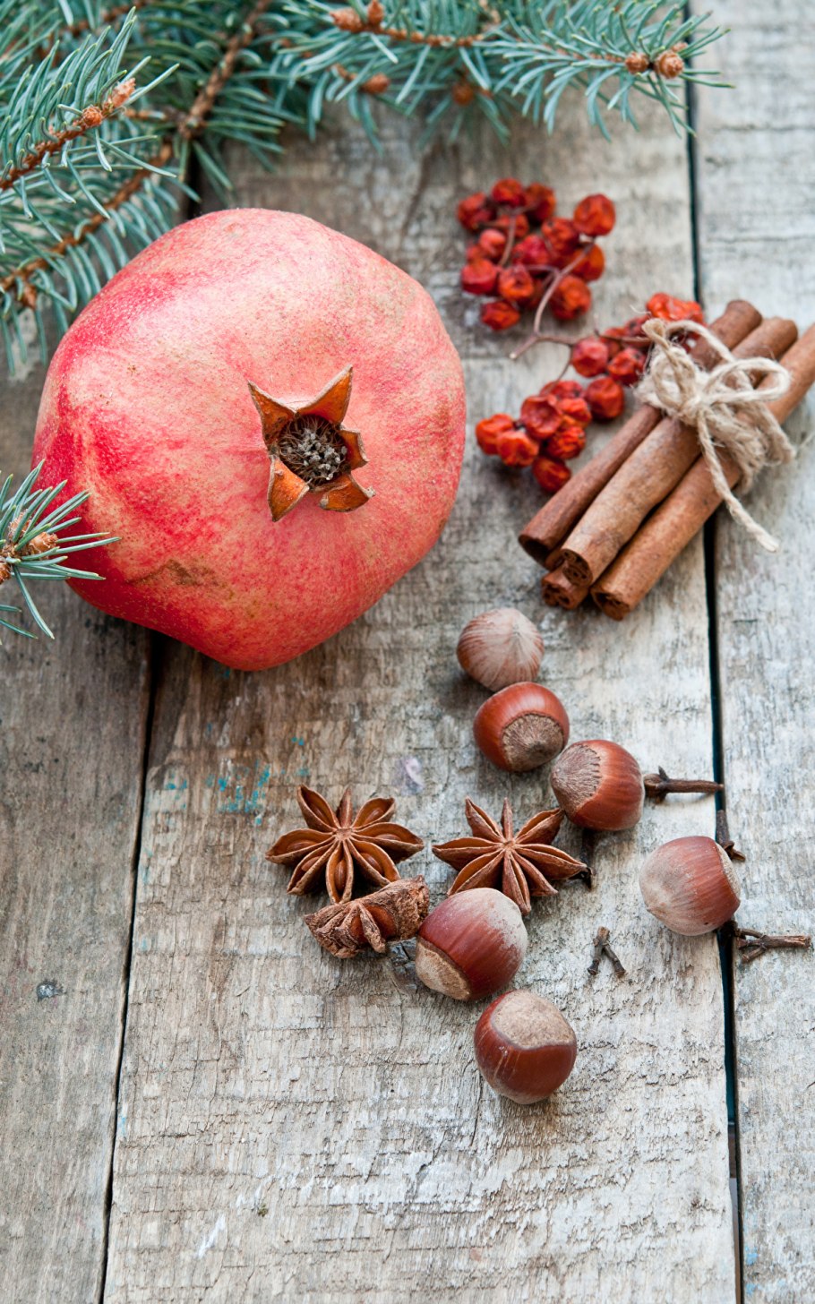 Гранат дерево зимой